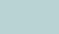 BAUX Widestripe loft (Copy)